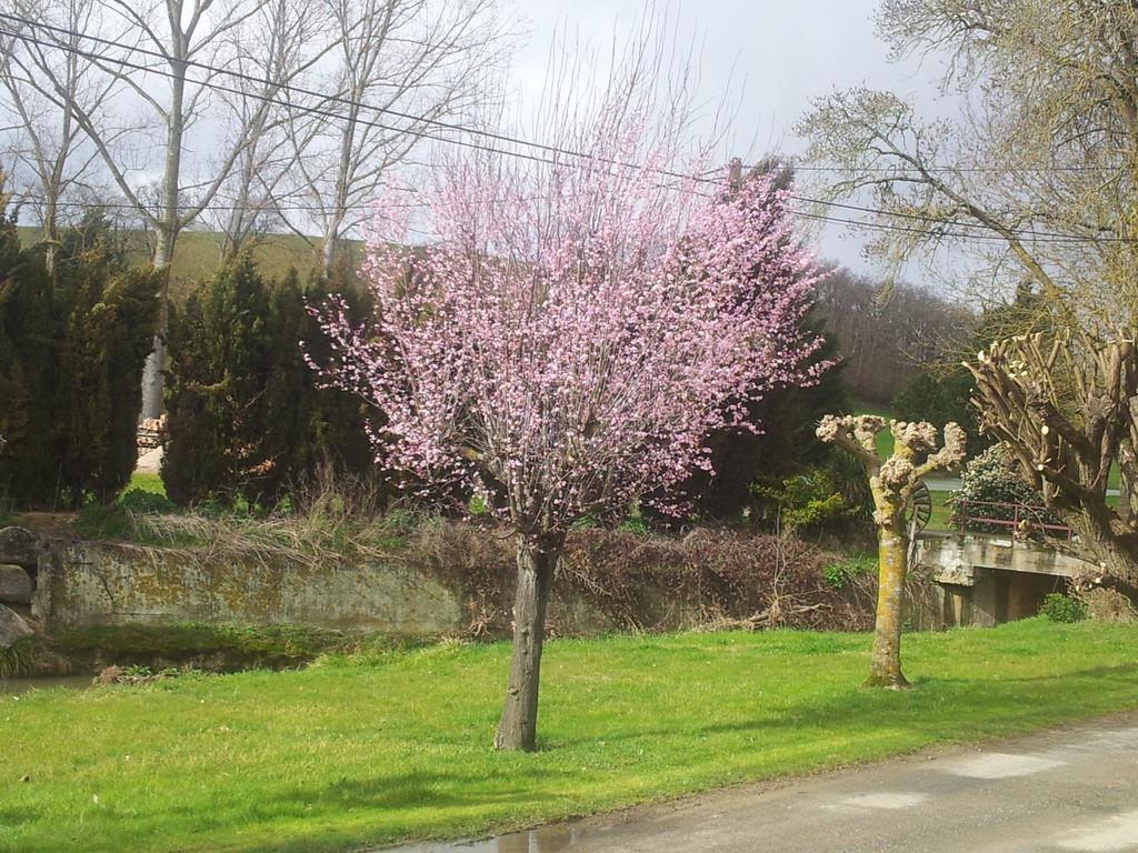 Chambre D'Hotes Le Moulin D'Encor Seysses-Saves Esterno foto
