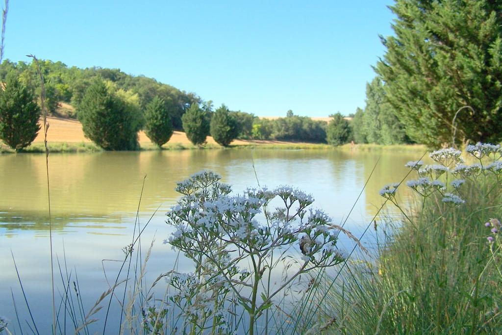 Chambre D'Hotes Le Moulin D'Encor Seysses-Saves Esterno foto
